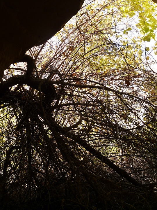 Entdecken Sie die BAFEP Ried: Tag der offenen Tür am 31. Jänner 2025