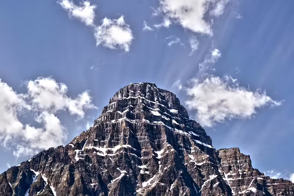 Entdecken Sie die Business Academy Linz-Auhof: Tag der offenen Tür!