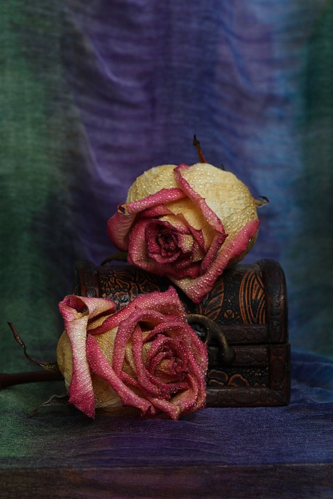 Erinnerungen an die letzten Riedlinger Kapuziner: Ein Blick zurück