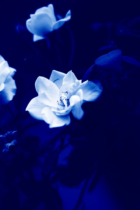 Erinnerungen zerissen: Libanons Vertriebene zählen ihre Verluste