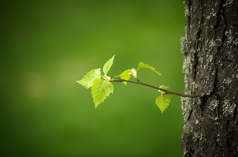 Erstes Raserauto in Traun versteigert: 2.000 Euro für gefährliches Erbe