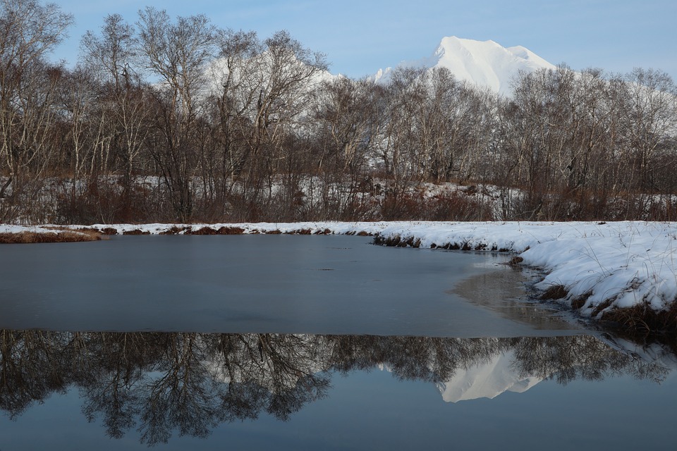 Erstes Taubenhäuschen in Innsbruck: Modernes Tierschutzprojekt im Rapoldipark