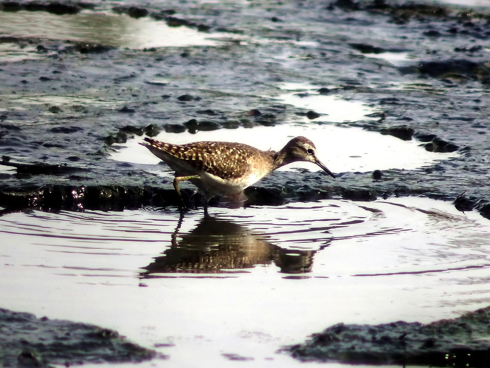 Europa-Park: Eintrittspreise steigen, Besucher reagieren empört!