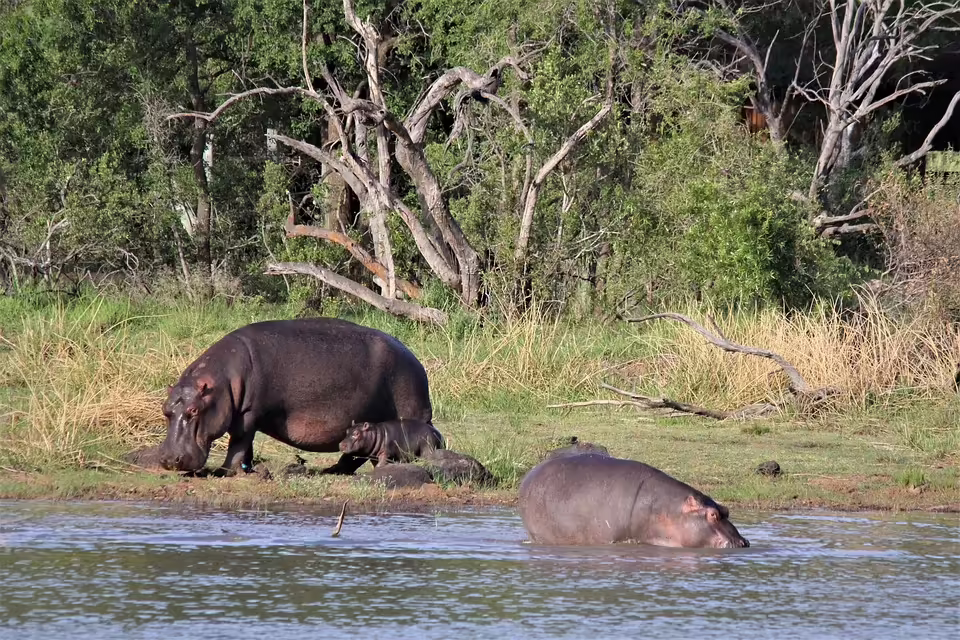 Evelin Strutzmann erhält das  St. Veiter Stadtherz  für Inklusion
