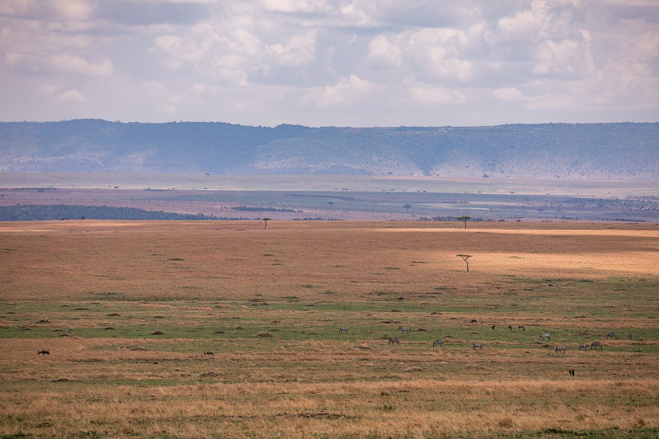 FPÖ triumphiert bei Landtagswahl: Bezirk Leibnitz erstrahlt blau!