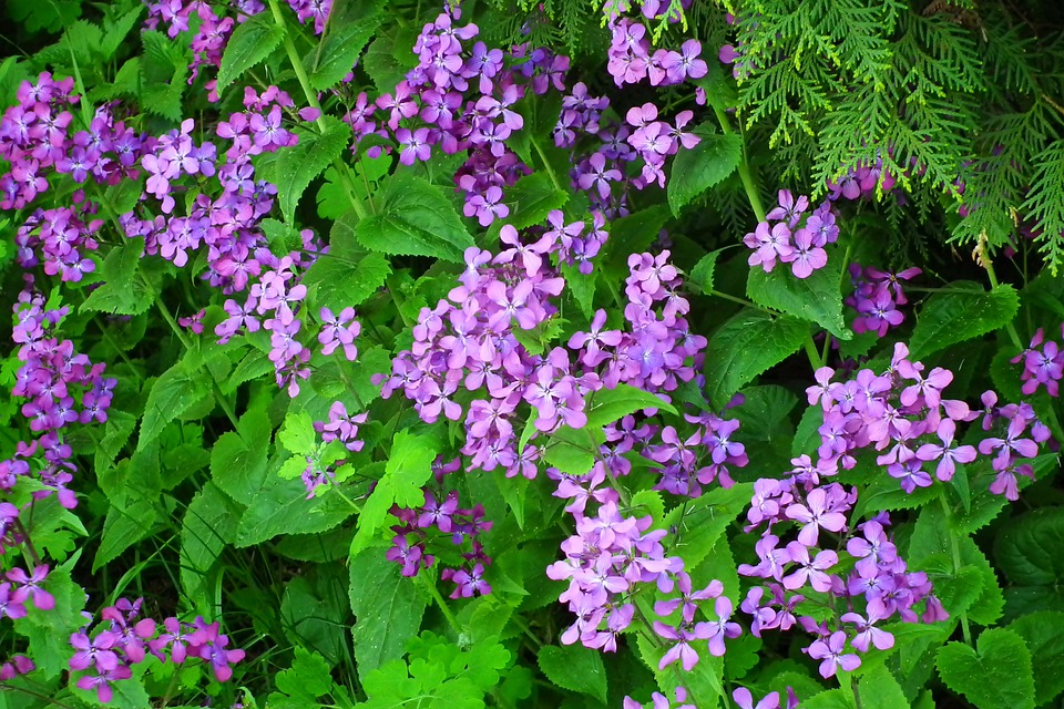 FRAUENleben: Ein ehrlicher Blick auf das Altern von Frauen