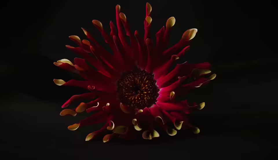 Fast 30.000 Euro für den guten Zweck: Pink Ribbon Veranstaltungen in Oberwart