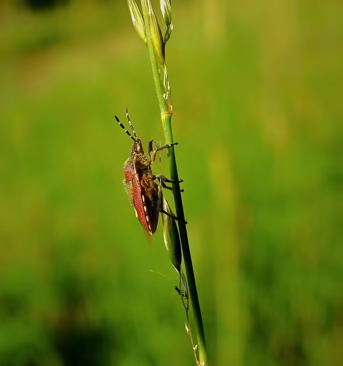 Fehler 404: Was tun, wenn die Webseite nicht erreichbar ist?