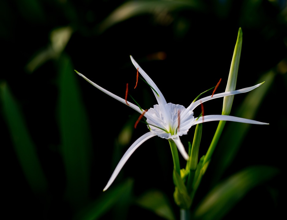 Feierliche Höhepunkte: 75 Jahre Pensionistenverband in Vorarlberg