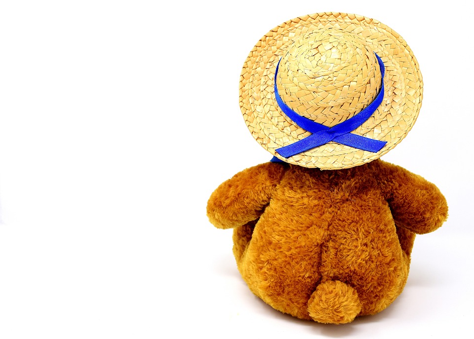 Feierlichkeiten und Abschiede: Ein unvergessliches Wochenende in NÖ!