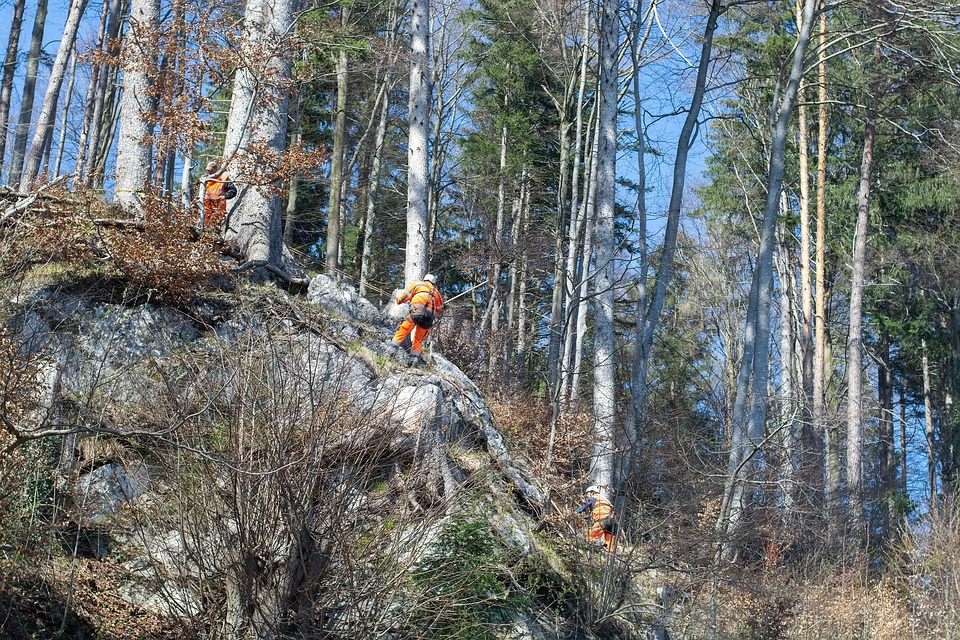 Felsräumungen: B171 zwischen Innsbruck und Zirl bis 16 Uhr gesperrt