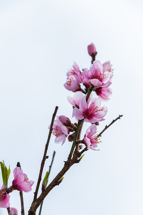 Felssturz im Herzen Salzburgs: Altstadt vorübergehend gesperrt