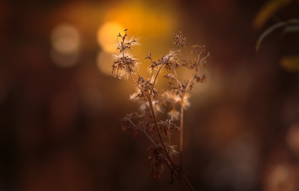 Ferndorf im Fokus: Moderne Energielösungen für eine nachhaltige Gemeinde