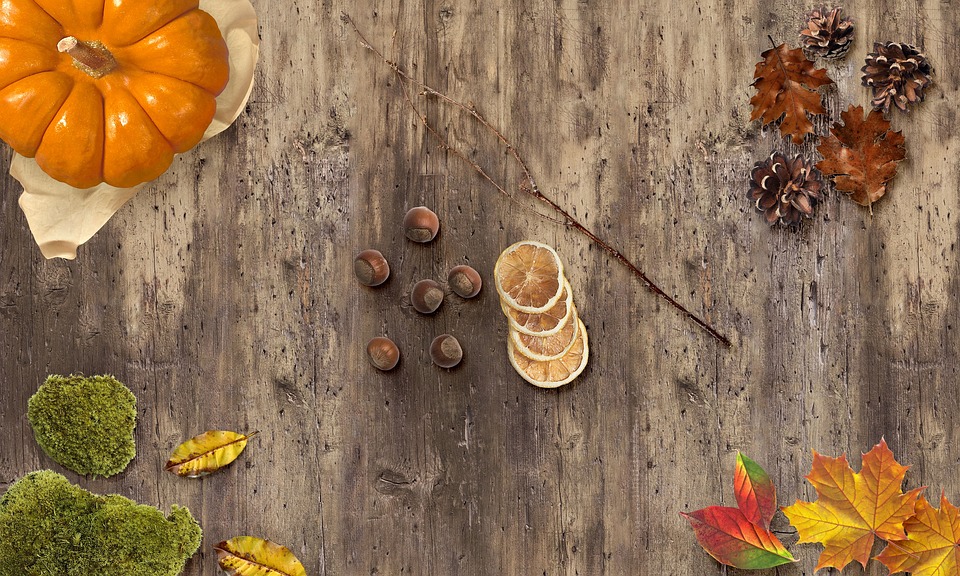 Festliche Beleuchtung: 13 Meter hohe Fichte erstrahlt am Landhausplatz