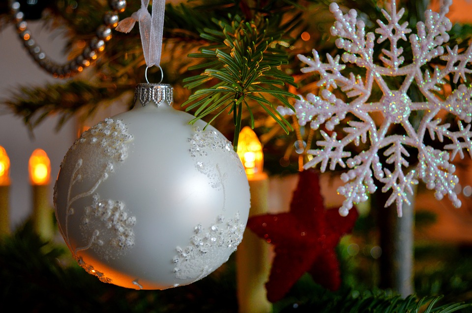 Festliche Erlebnisse im ZIMBAPARK: Black Friday und mehr!