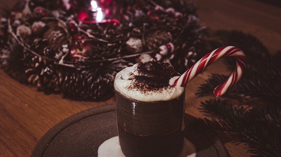 Festliche Lichter und Aktionen: Weihnachten im FISCHAPARK erleben!