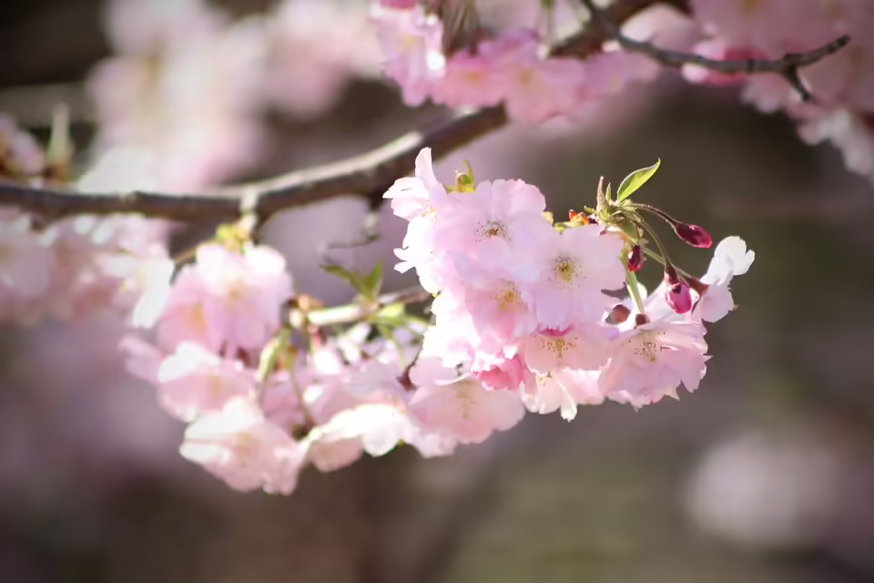 Festtagsgenuss im Lenz Social Dining: Bio-Gansl &amp; winterliche Köstlichkeiten