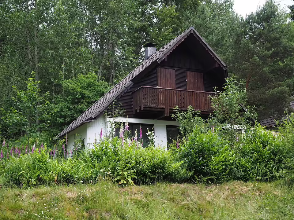 Frankenauer Band ŠkaRe: Ein neues Kapitel aus Ska, Reggae und Krowodnrock