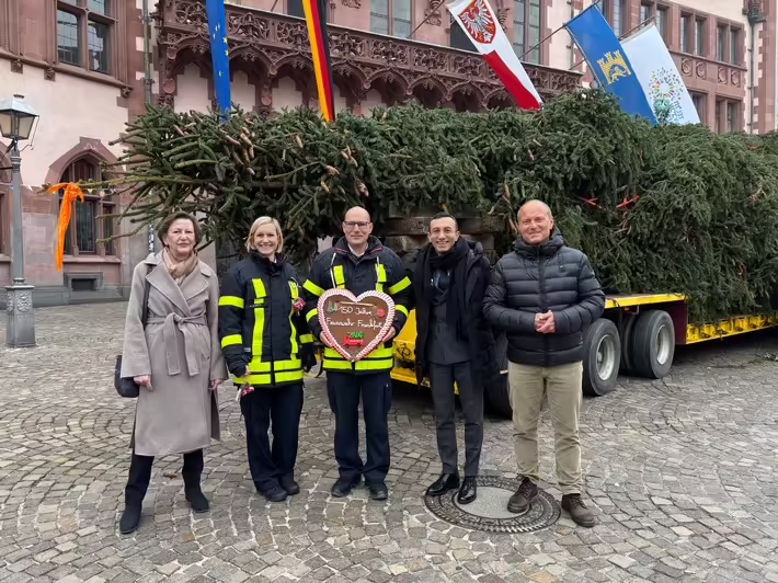 Frankfurt erstrahlt: Feuerwehrbaum  Florian  auf dem Römerberg!