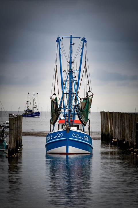 Freiwillige Feuerwehr Neufeld löscht Brand in historischer Lokomotive