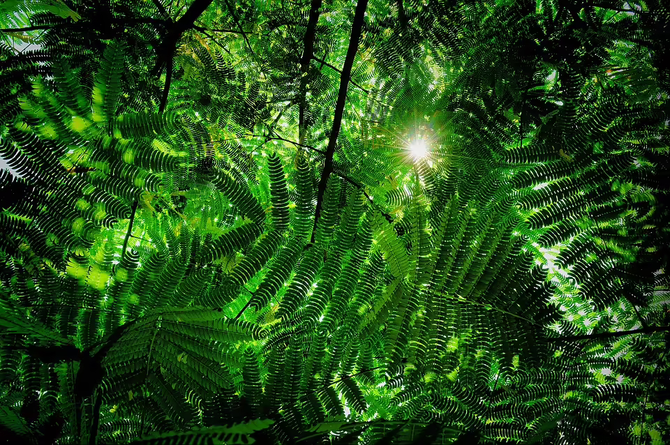 Friedliche Spatzen in Graz: Ein Blick auf die Natur unserer Region