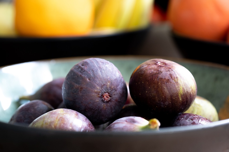Frische Luft für Melk: Erfolgreicher  Frischluftcheck  in der Stadtgemeinde