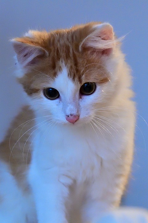 Frohnleiten im Blick: Atemberaubendes Panorama von 2010 enthüllt