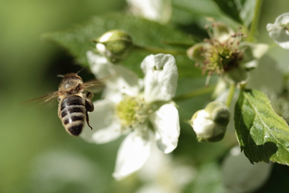 Führerschein ab 26: Ein neuer Ansatz gegen Raserei bei jungen Männern?