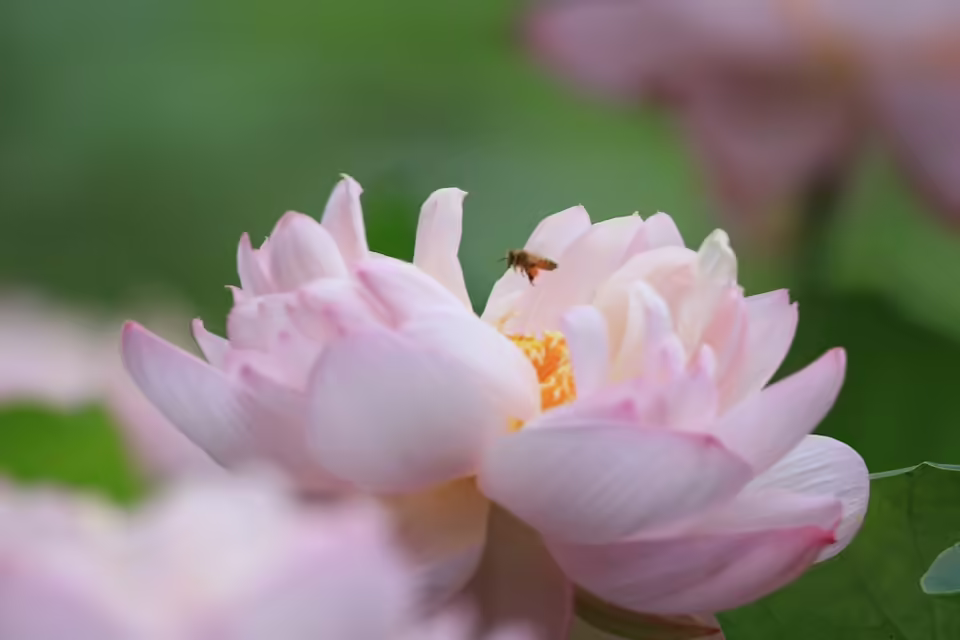 Gastmesse Salzburg: Voller Erfolg mit 700 Ausstellern und top Stimmung