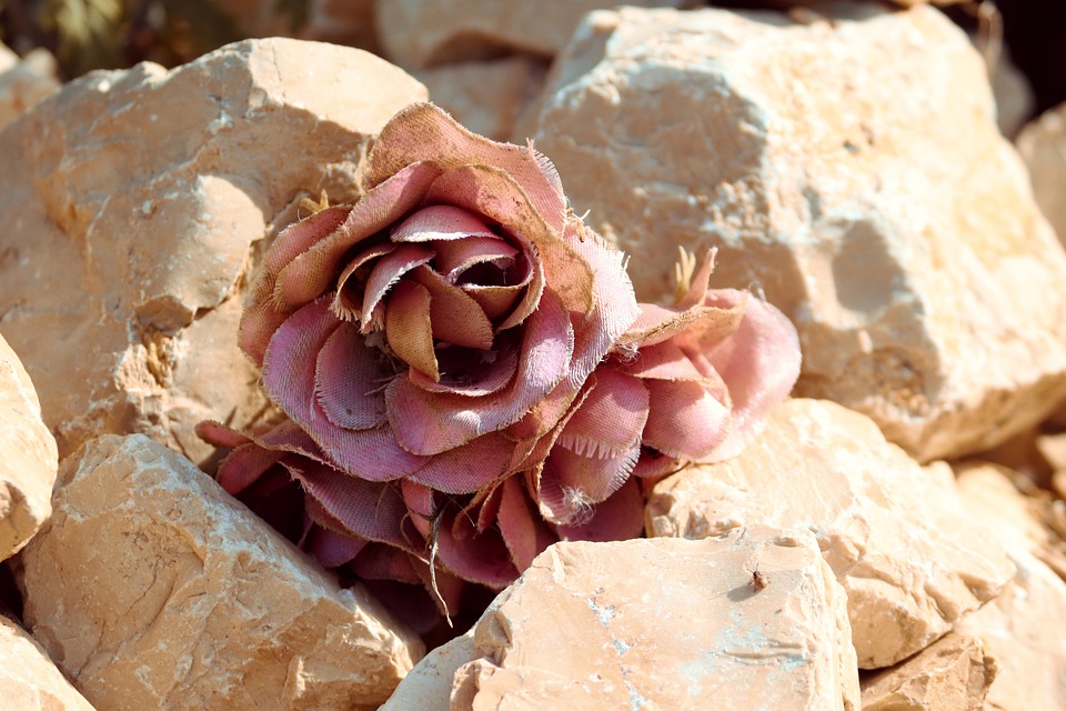 Gedenken im Herbst: Borussen erinnern an Verstorbene und ihr Erbe