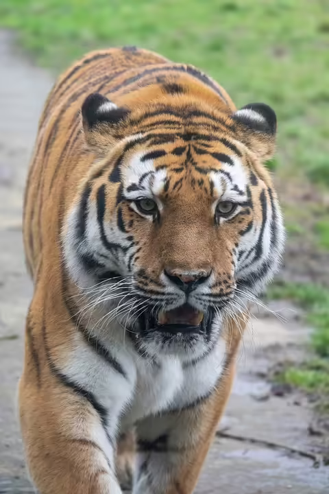 Gefährliche Lage: Transfrau kämpft gegen Mietschulden und Übergriffe