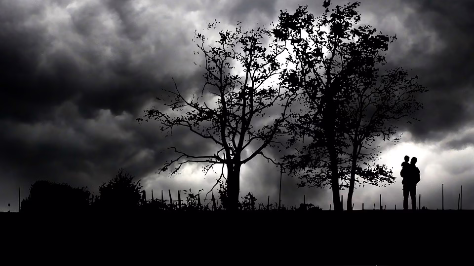 Geheimnisvolle Packerl in Wien: Goldfunde und Überraschungen warten!