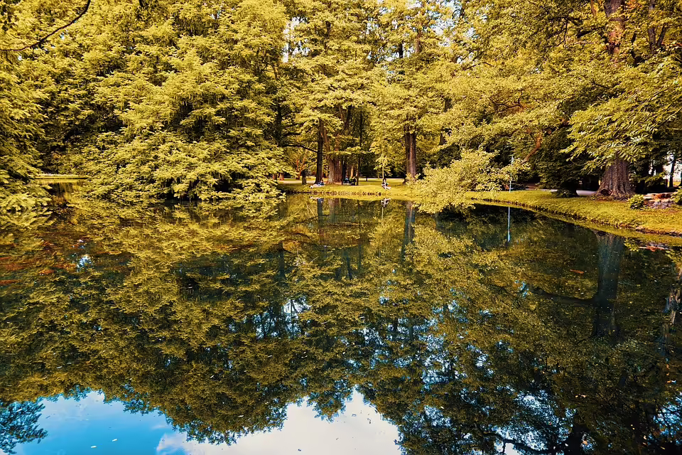 Gemeinsam Ansfelden gestalten: Bürgermeister Partolls Visionen im Wandel