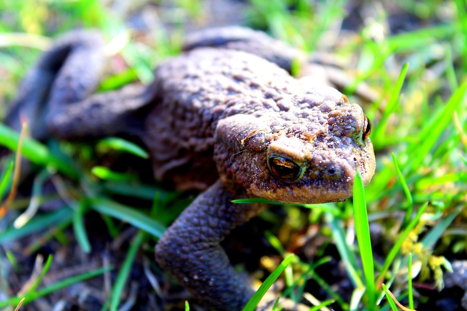 Gemeinsam für Sicherheit: Vernetzungstreffen in Jedlesee