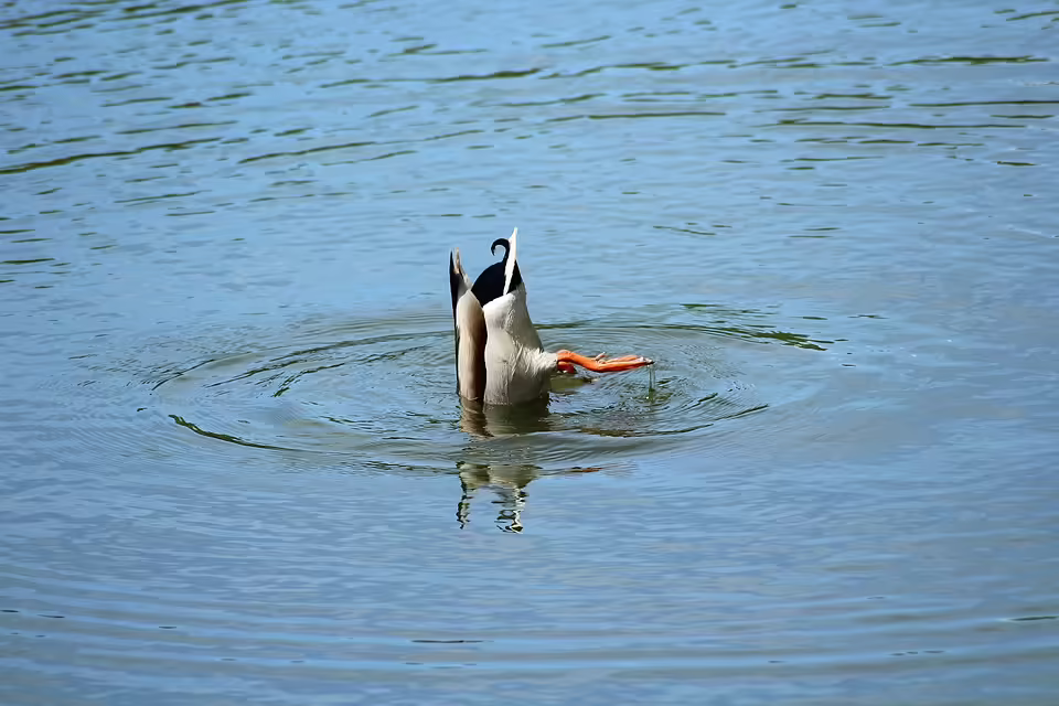 Gemeinsam stark: Burgenländer Schulen unterstützen Kinder-Krebshilfe