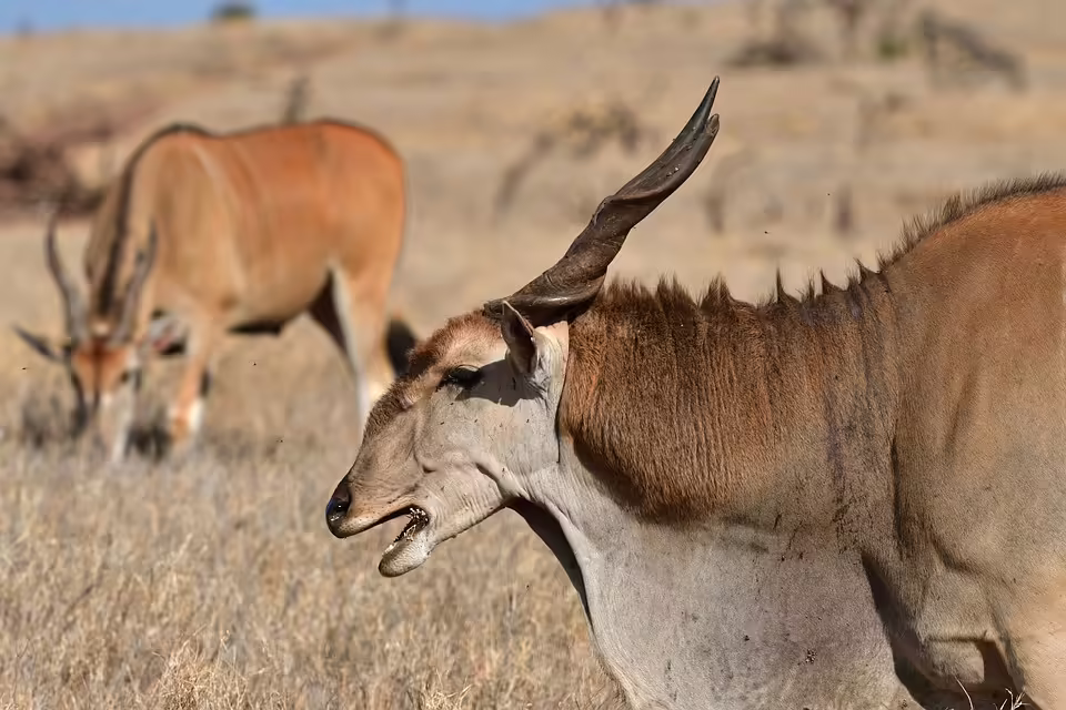 Gemeinsame Übung der Feuerwehren: Sicherheit im Unterabschnitt Raverlsbach