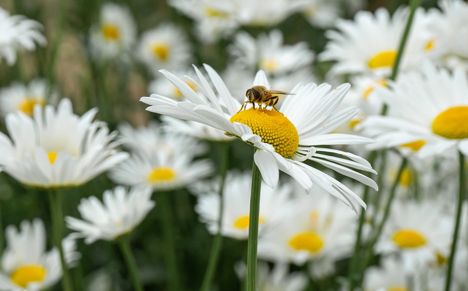 Gemeinsames Licht für verstorbene Kinder: Gedenkandacht in Buchkirchen