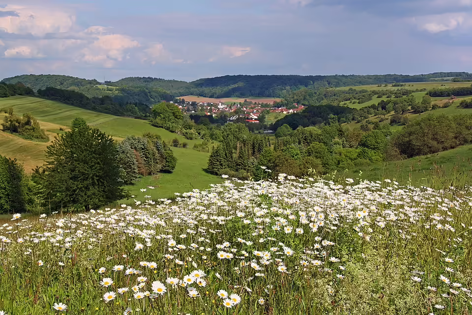 Geschwindigkeitskontrollen im Saarland: Wo und wann Sie aufpassen sollten