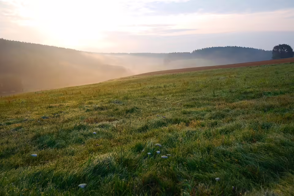 Gmundner Kunstkalender 2025: Ein weiteres Kapitel der Kreativität