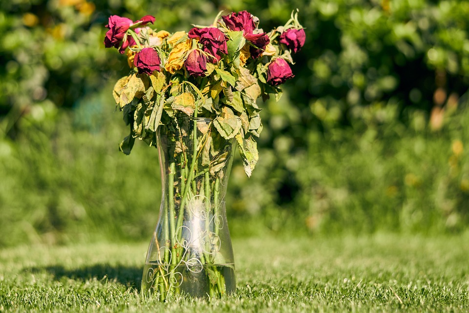 Goldauszeichnung für Feuerwehr Heimschuh: Atemschutzleistungsprüfung erfolgreich bestanden!