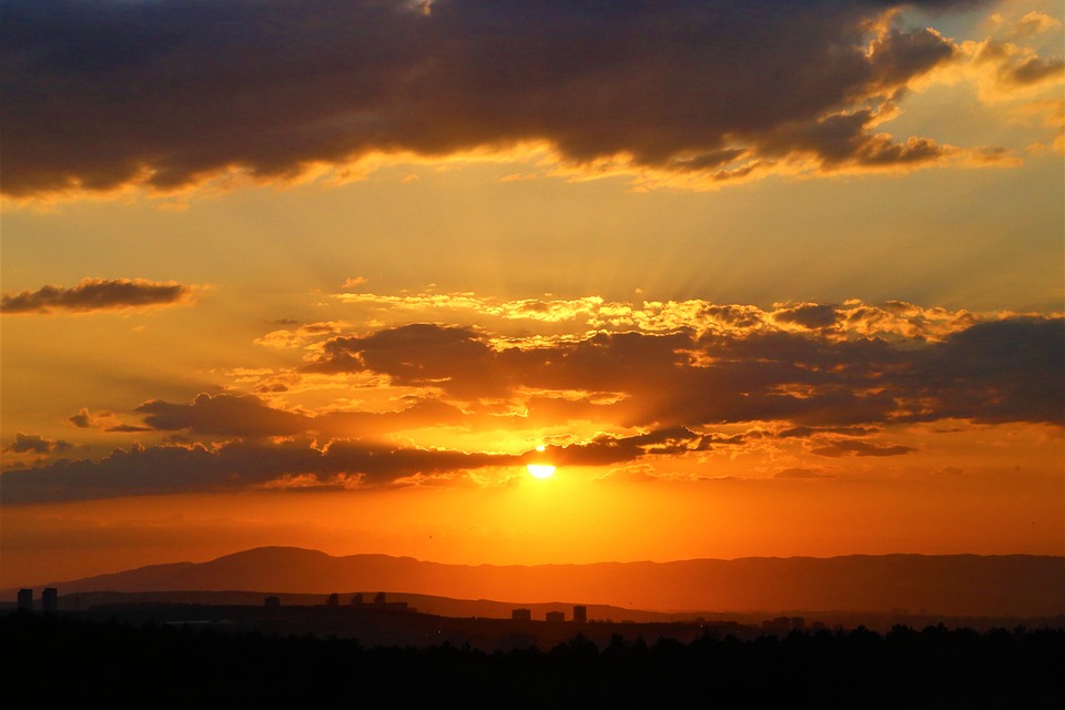 Goldene Leistung: Junge Talente der Musikschule Yspertal ausgezeichnet