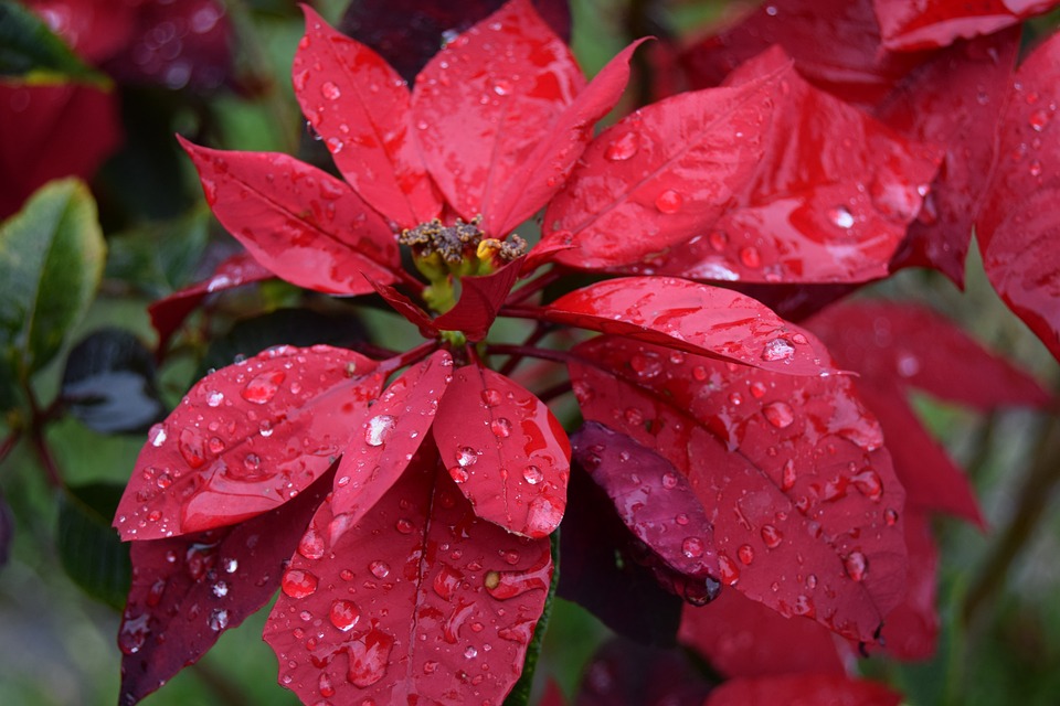 Großer Andrang beim Maturaball: Villach feiert unvergessliche Nacht!