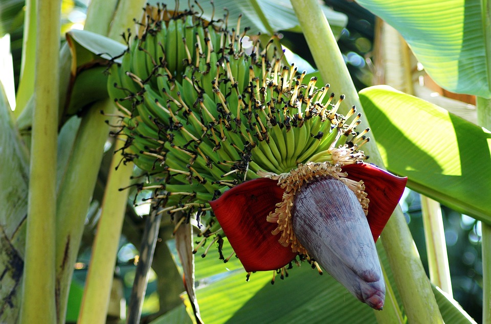 Grüne präsentieren neue Ortsgruppe in Natschbach-Loipersbach