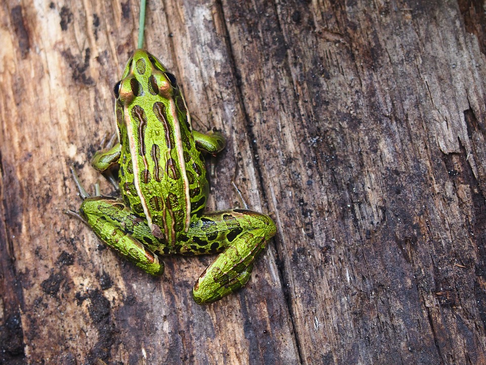 Grüner statt Grau: Theumermarkt erblüht in Neu-Stammersdorf