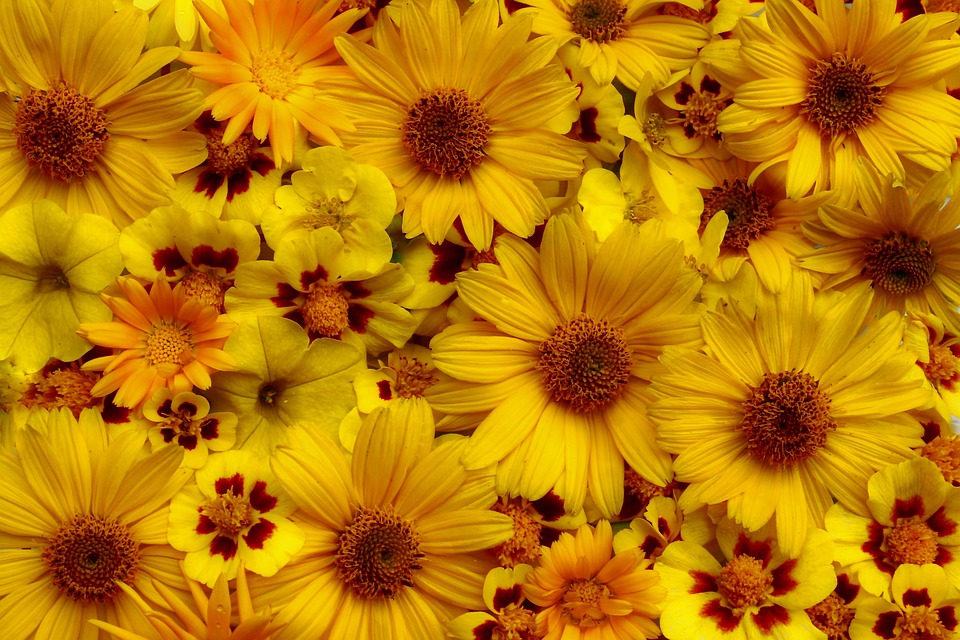 Gute Verbindungen nach Graz: Rote Bürgermeister im Fokus