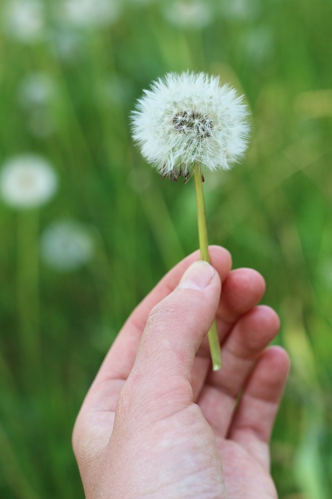 Hält Österreich sein Versprechen? Gewaltambulanzen auf der Warteliste