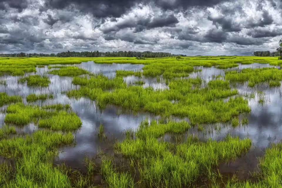 Hallein und Bramberg: Dramatisches 1:1 mit 14 Gelben Karten