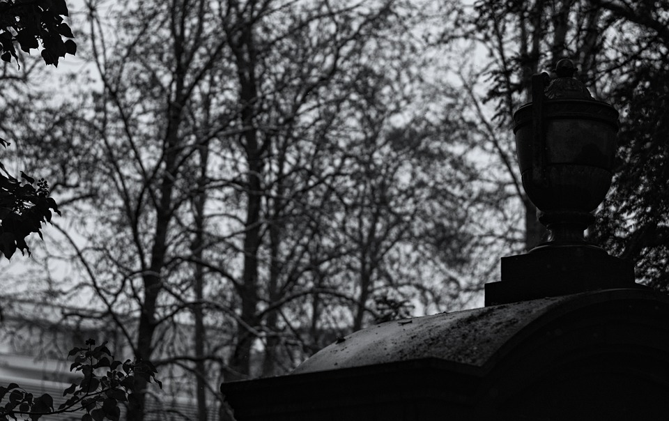 Handyraub in Bregenz: Verlust und Verfolgung enden mit Festnahme