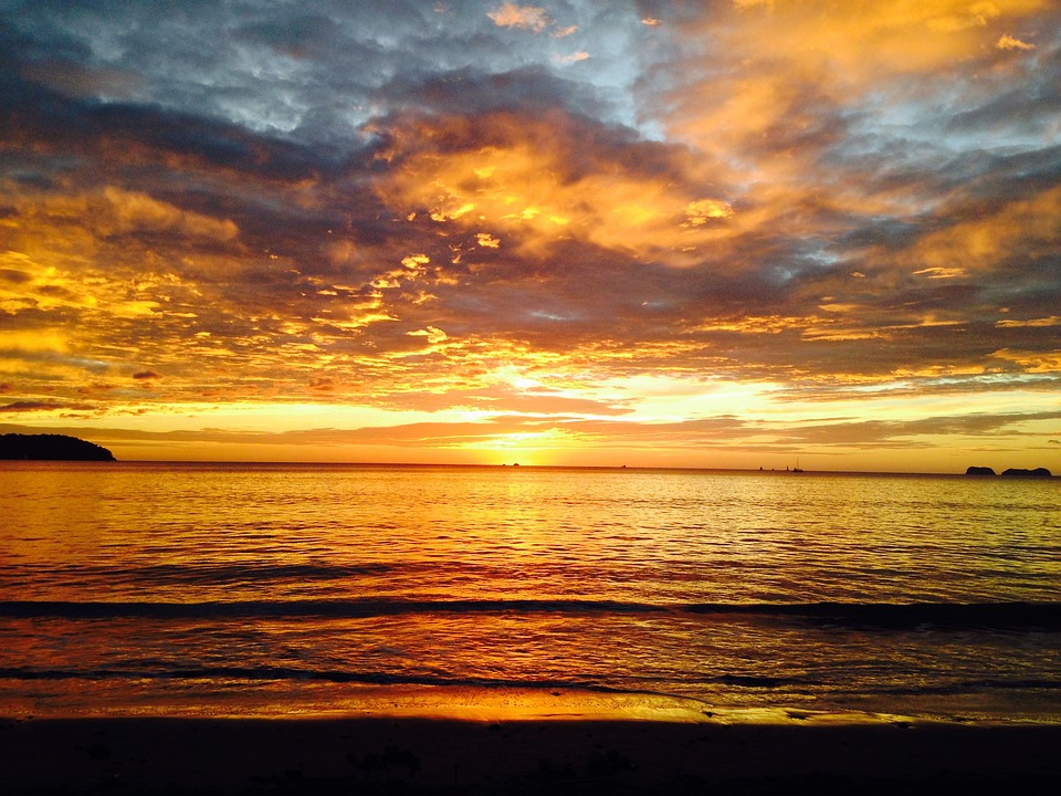 Harmonie der Glaubensgemeinschaft: Chöre feiern die heilige Cäcilia