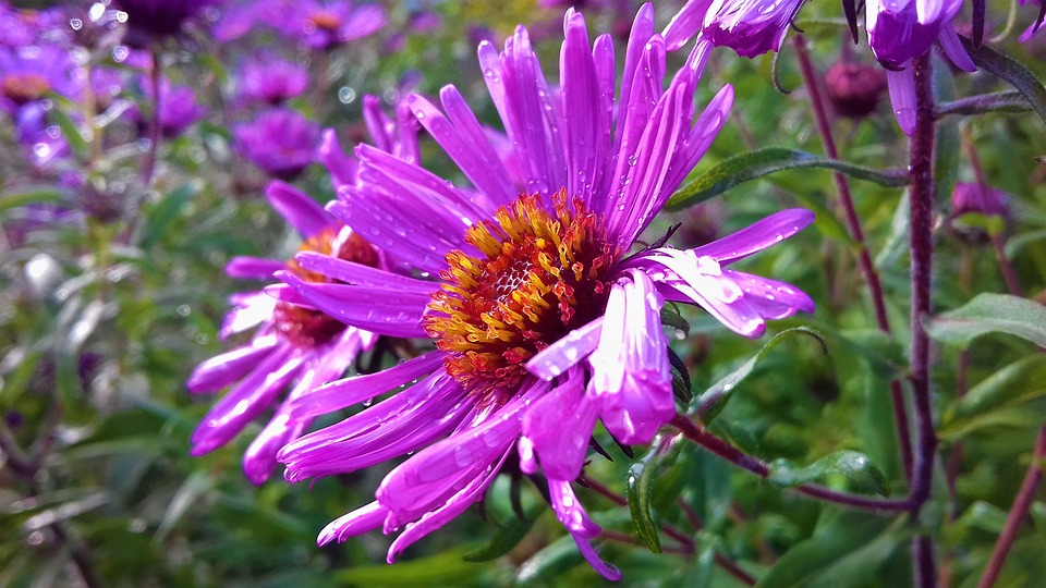 Heftige Vorwürfe gegen Wirr-Betreiber: Gewalt, Beleidigungen und mehr!